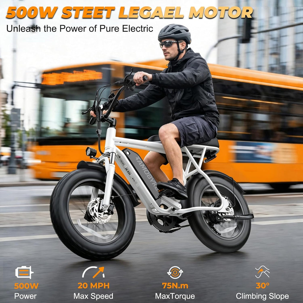 T63 Fat Tire Electric Bike, 500W Entry Level for Adults Teens | 40 Miles, 20MPH, 13Ah Removable Battery. 20 Fat Tire Ebike for Commute, School, Travel. Lightweight. UL2849 Certified.