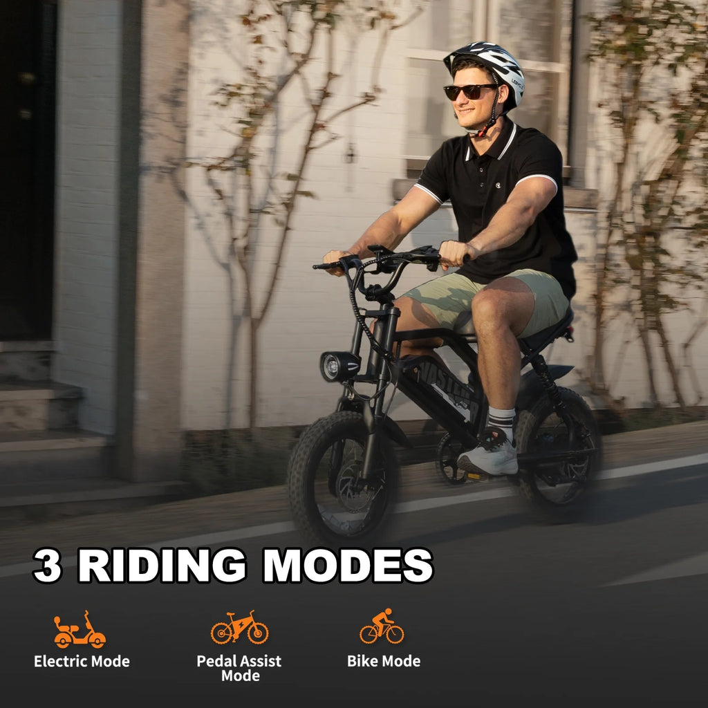 Electric Bike,16" Fat Tire Ebike,500W Motor,48V 12Ah Removable Battery,4X Suspension,38 Miles Pure Electric,55 Miles Pedal
