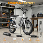 T63 Fat Tire Electric Bike, 500W Entry Level for Adults Teens | 40 Miles, 20MPH, 13Ah Removable Battery. 20 Fat Tire Ebike for Commute, School, Travel. Lightweight. UL2849 Certified.