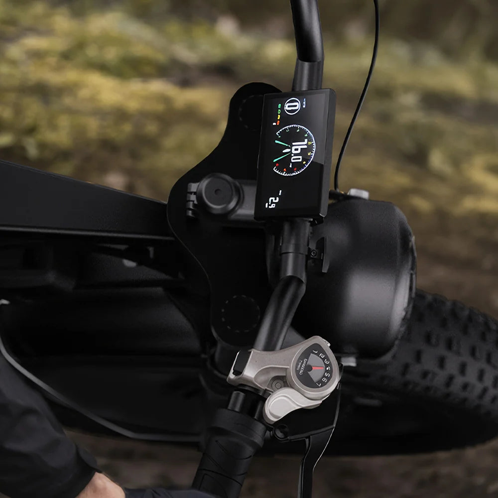 Cychunter Moped-Style Ebike