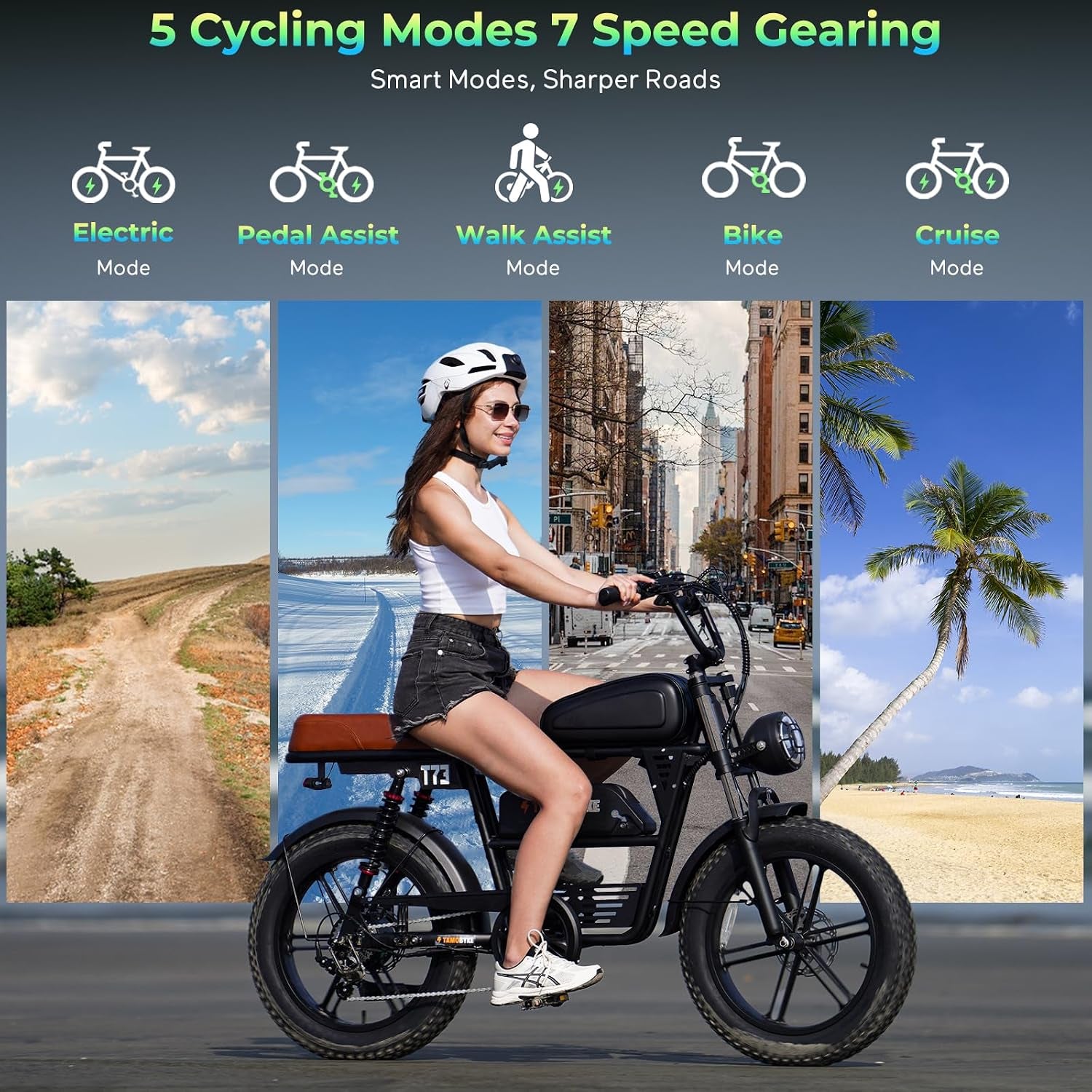 T73 Premium Series Electric Bike for Adults,48V15Ah/36Ah/41.6Ah Battery,1000W/1500W/3000W Powerful Motor,20''*4'' Fat Tire, Hydraulic Shockproof &Oils Brakes, Commute/Snow Ebike.Age 15+