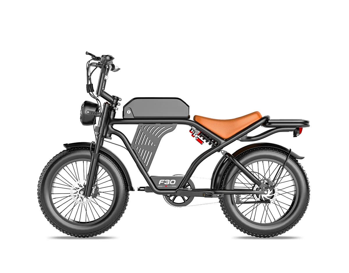 Postjoy F30 Moped Style Ebike
