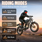Postjoy F30 Moped Style Ebike