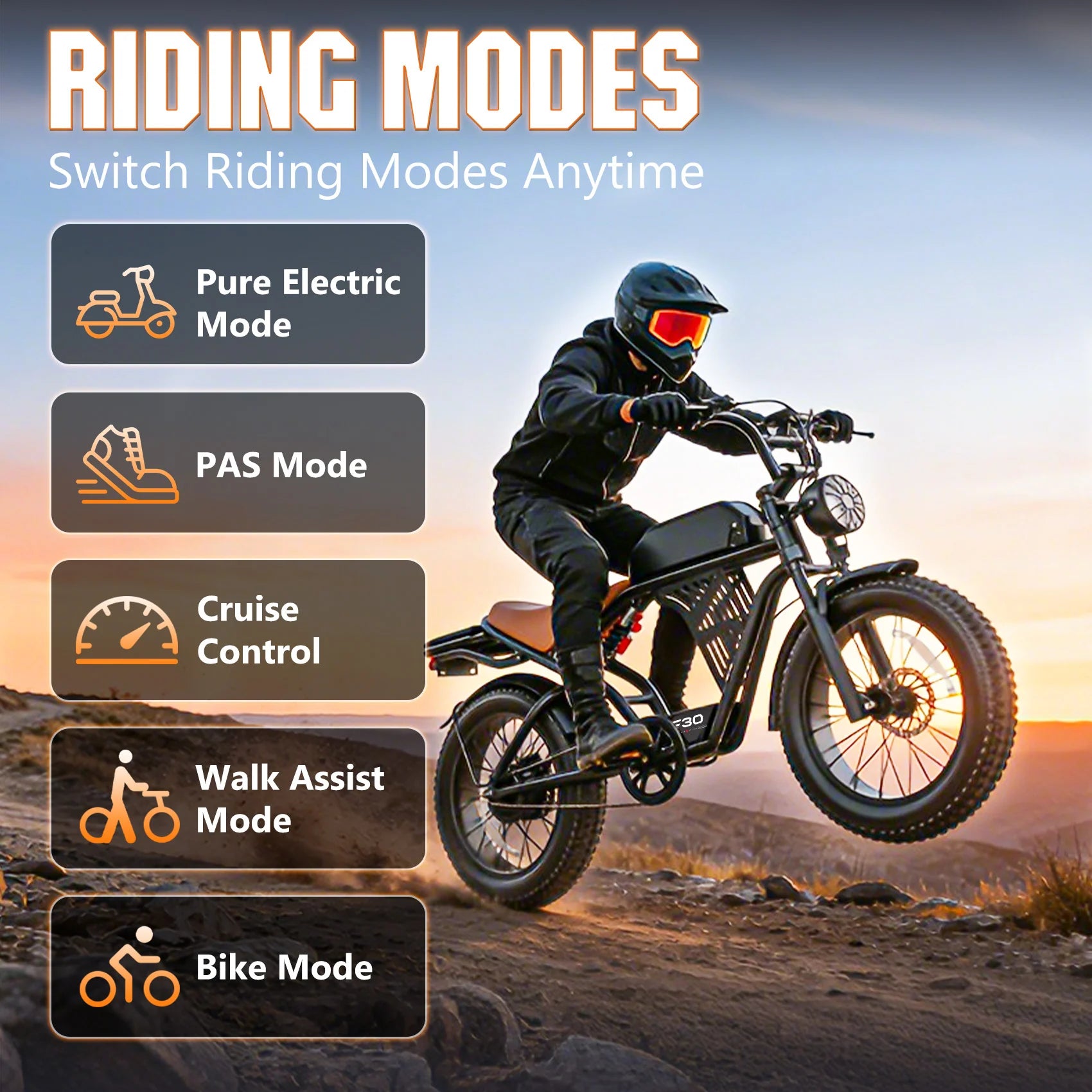 Postjoy F30 Moped Style Ebike