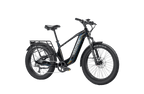 Nomad 2X Full Suspension Fat Tire Ebike