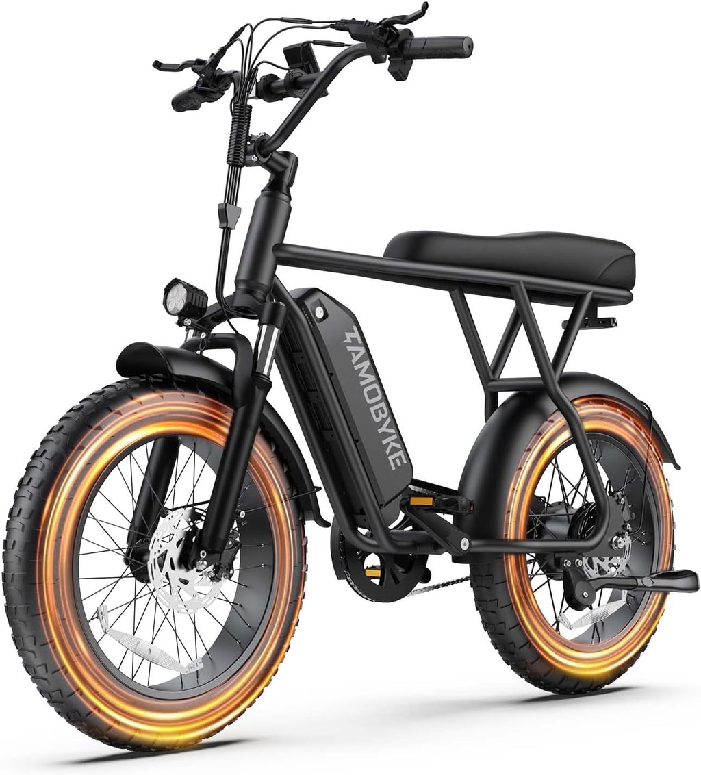 T63 Fat Tire Electric Bike, 500W Entry Level for Adults Teens | 40 Miles, 20MPH, 13Ah Removable Battery. 20 Fat Tire Ebike for Commute, School, Travel. Lightweight. UL2849 Certified.