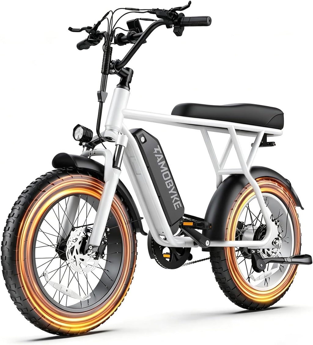 T63 Fat Tire Electric Bike, 500W Entry Level for Adults Teens | 40 Miles, 20MPH, 13Ah Removable Battery. 20 Fat Tire Ebike for Commute, School, Travel. Lightweight. UL2849 Certified.