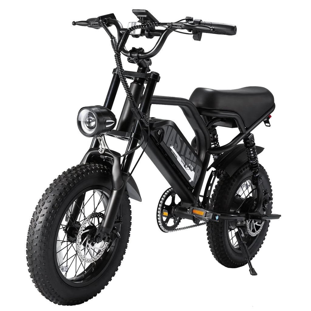 Electric Bike,16" Fat Tire Ebike,500W Motor,48V 12Ah Removable Battery,4X Suspension,38 Miles Pure Electric,55 Miles Pedal