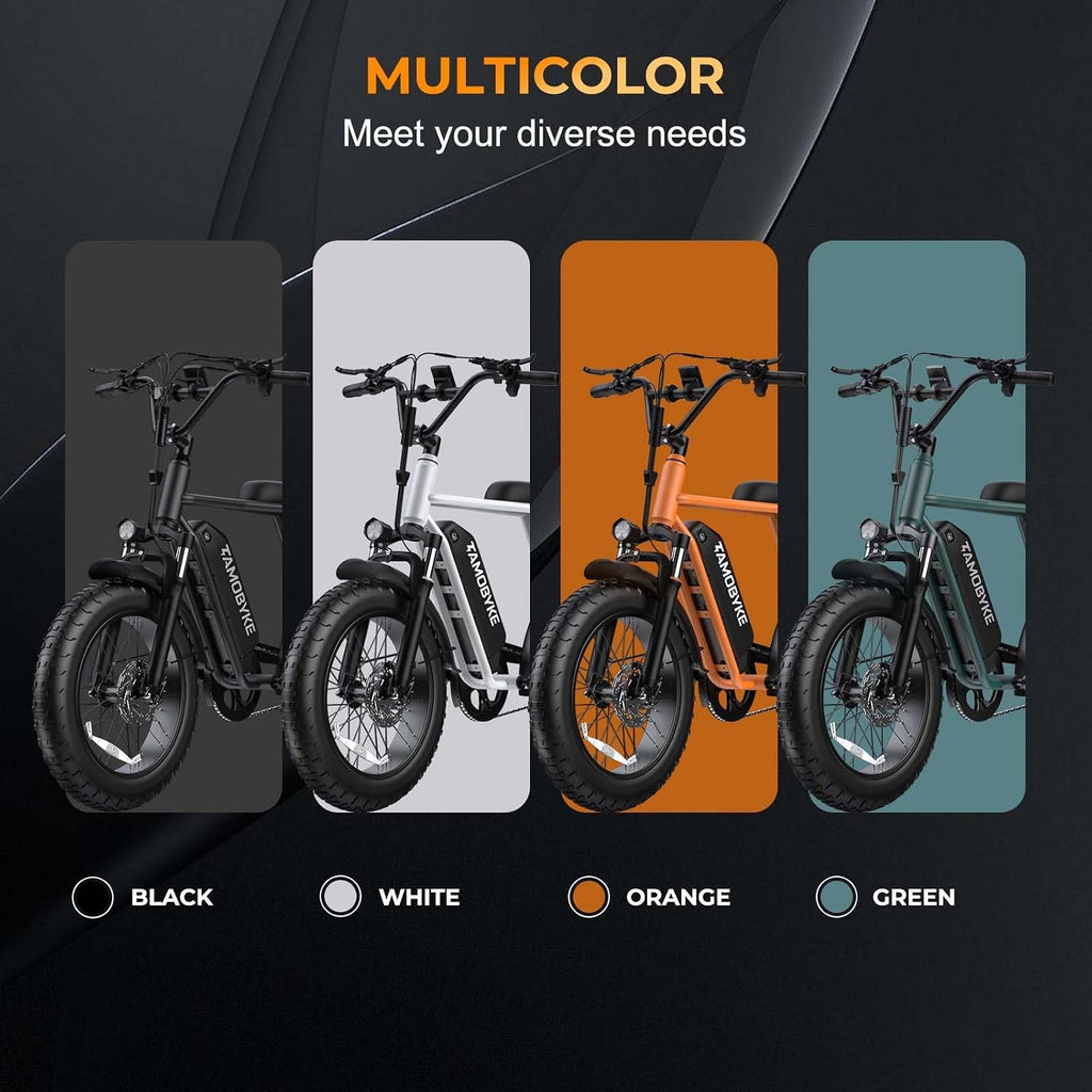 T63 Fat Tire Electric Bike, 500W Entry Level for Adults Teens | 40 Miles, 20MPH, 13Ah Removable Battery. 20 Fat Tire Ebike for Commute, School, Travel. Lightweight. UL2849 Certified.