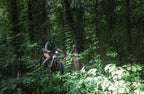 Nomad 2X Full Suspension Fat Tire Ebike