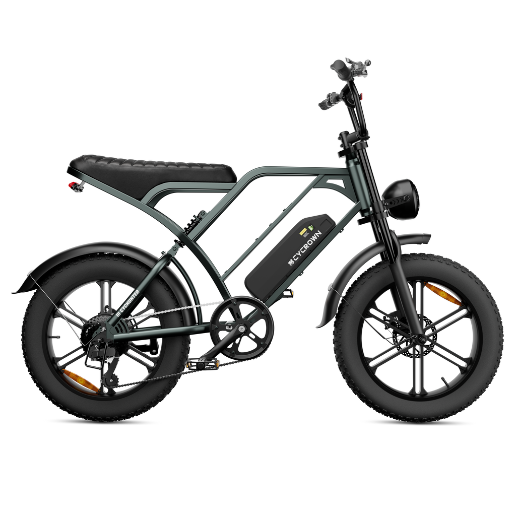 Cychunter Moped-Style Ebike