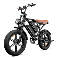 Cychunter Moped-Style Ebike